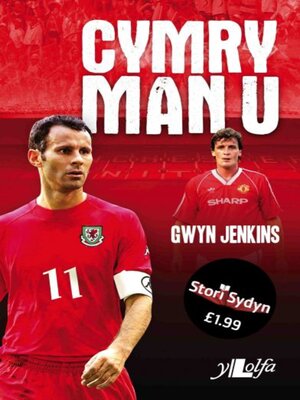 cover image of Stori Sydyn